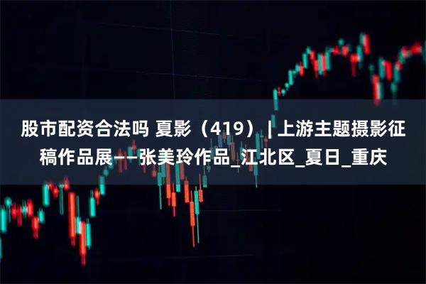 股市配资合法吗 夏影（419） | 上游主题摄影征稿作品展——张美玲作品_江北区_夏日_重庆